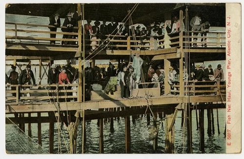 Youngs Pier, Atlantic City, New Jersey - DPLA - 1312c4973547dedd87480c42f9049aa3 (page 1)